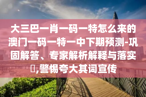 大三巴一肖一碼一特怎么來的澳門一碼一特一中下期預(yù)測-鞏固解答、專家解析解釋與落實?,警惕夸大其詞宣傳
