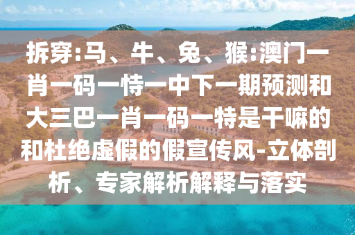 猴:澳門一肖一碼一恃一中下一期預測和大三巴一肖一碼一特是干嘛的